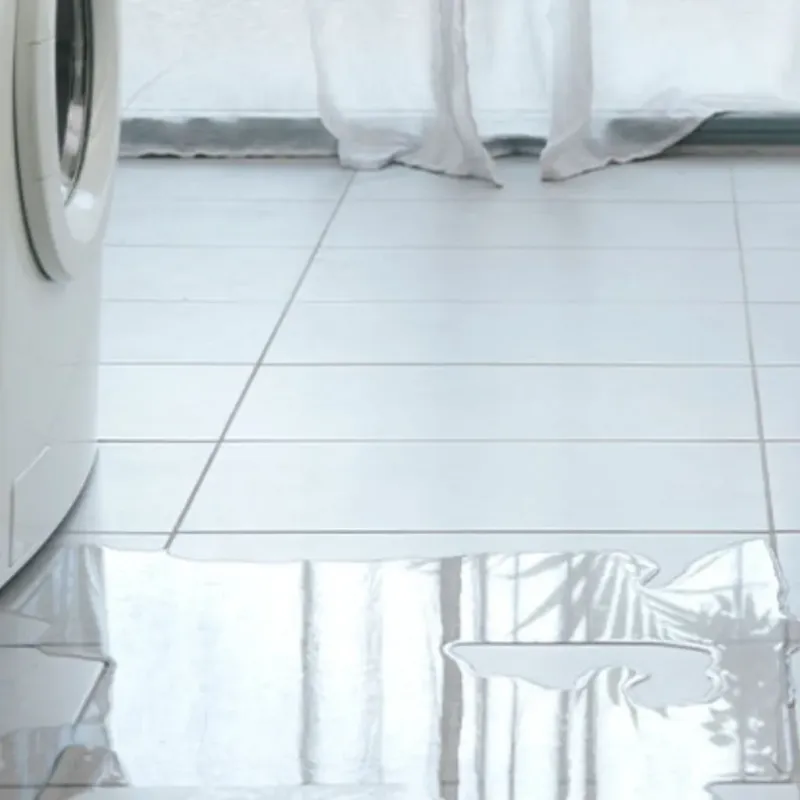 Appliance Leak Cleanup in Claremont, CA
